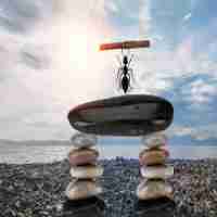 免‌费‍CSS3插​件﻿